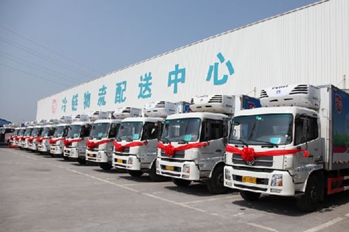 青岛冷沐鸣登录链物流越来越“冷”